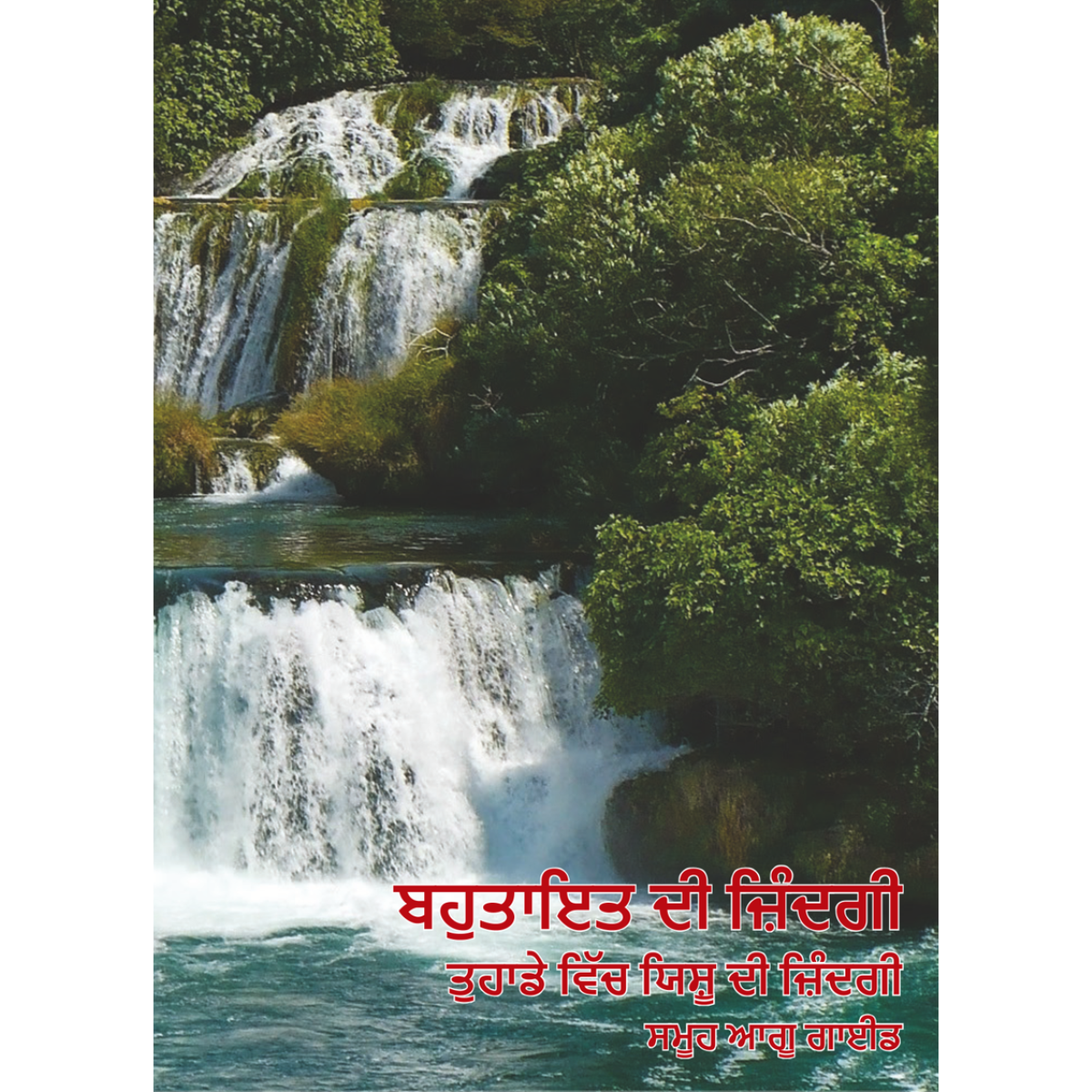 Abundant Life - Leaders Guide (Punjabi)