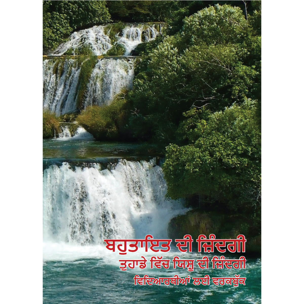 Abundant Life (Punjabi)
