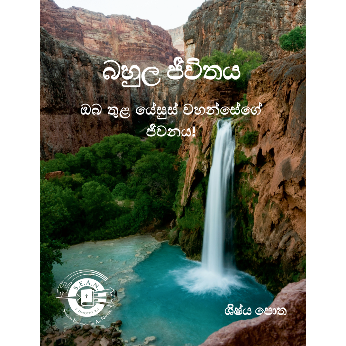Abundant Life (Sinhala)