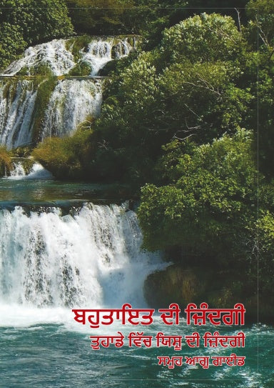 Book Cover Variant Thumbnail