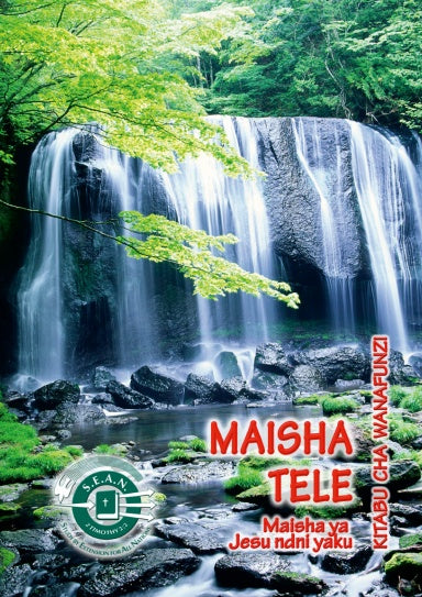 Book Cover Variant Thumbnail