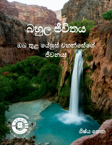 Book Cover Variant Thumbnail