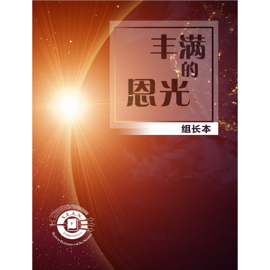 The Big Picture Leader's Guide (Chinese Simplified)