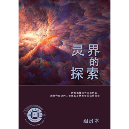 The Spirit World (Chinese Simplified)