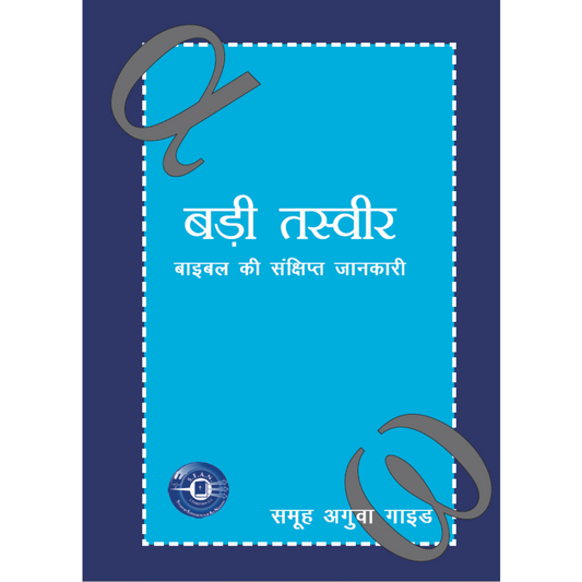 The Big Picture - Leader's Guide (Hindi)