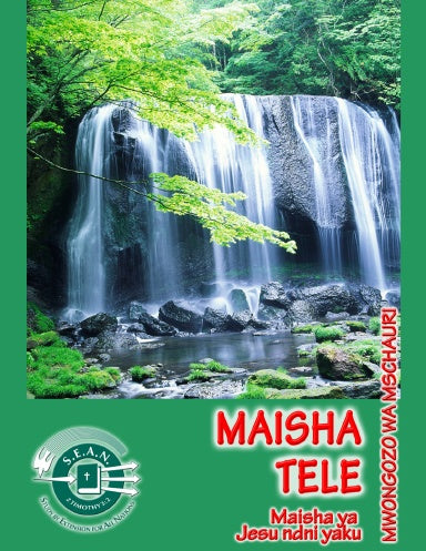 Book Cover Variant Thumbnail