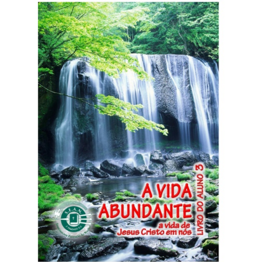 Abundant Life - Part 3 (Portuguese)